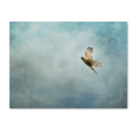 Jai Johnson 'Up Up And Away Red Shouldered Hawk' Canvas Art,35x47